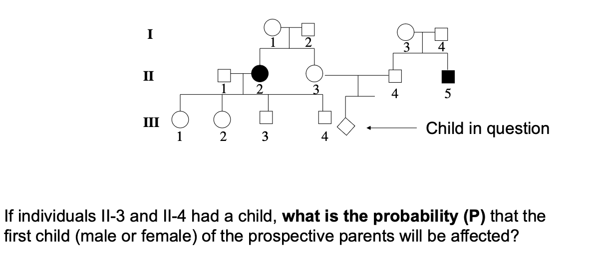 Solved If individuals II-3 ﻿and II-4 ﻿had a child, what is | Chegg.com