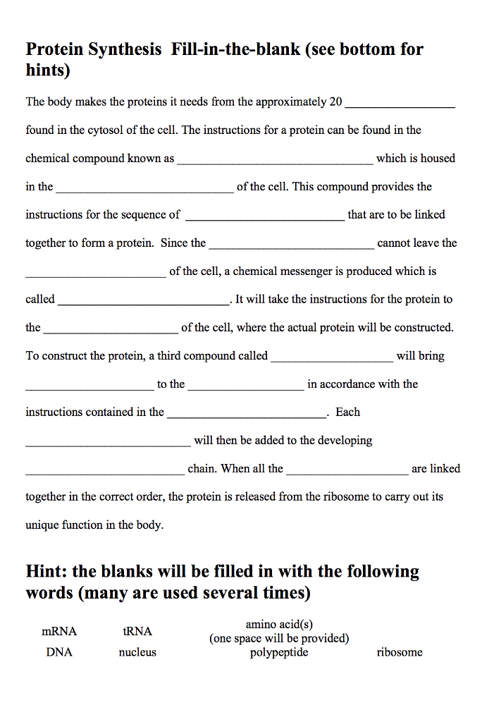 Solved Protein Synthesis Fillintheblank (see bottom for