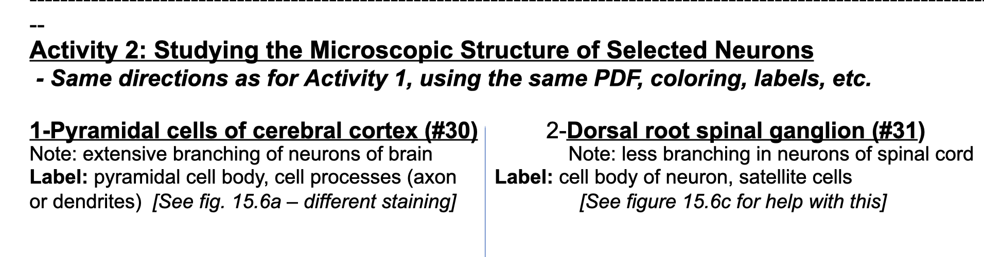 Activity 2: Studying the Microscopic Structure of Selected Neurons - Same directions as for Activity 1, using the same PDF, c