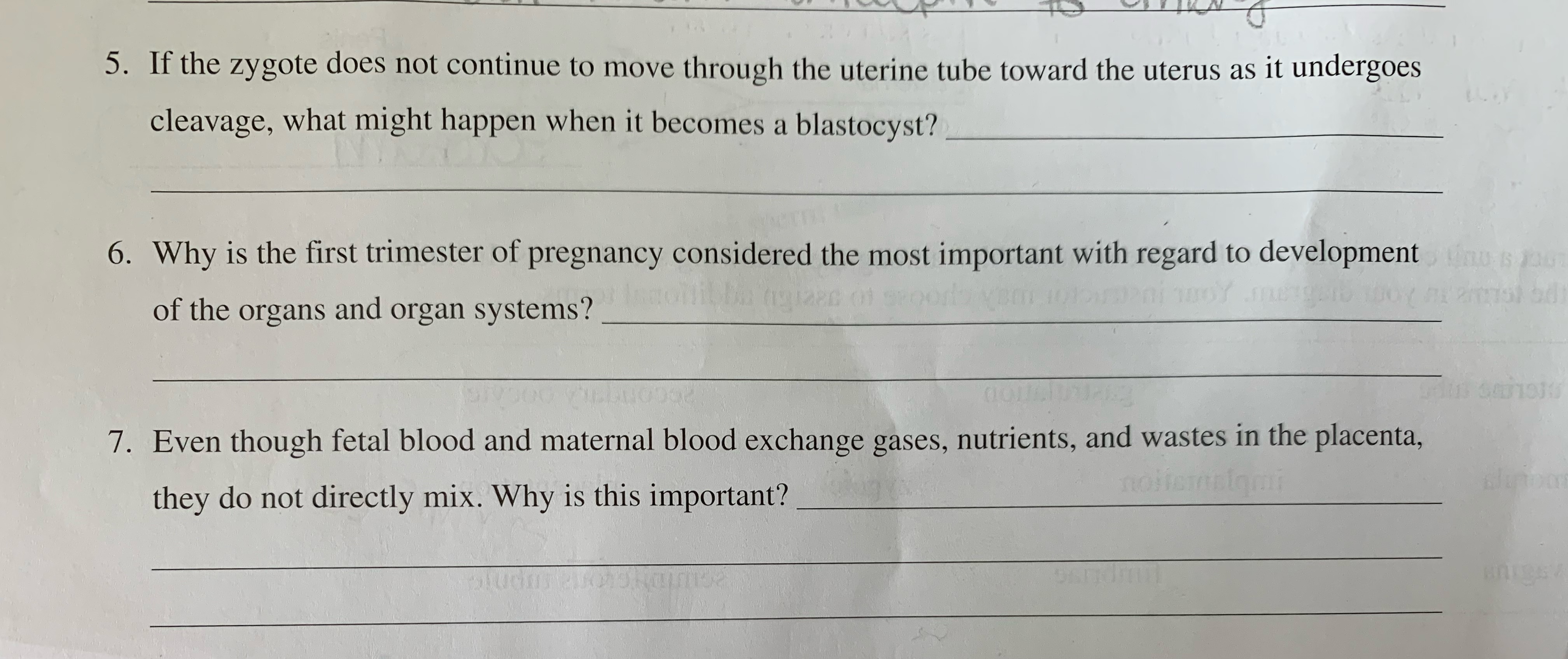 Solved 5. If the zygote does not continue to move through | Chegg.com