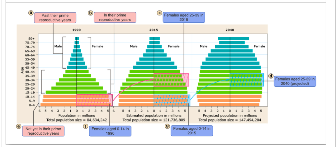 Solved Based on the graph above which of the following is | Chegg.com