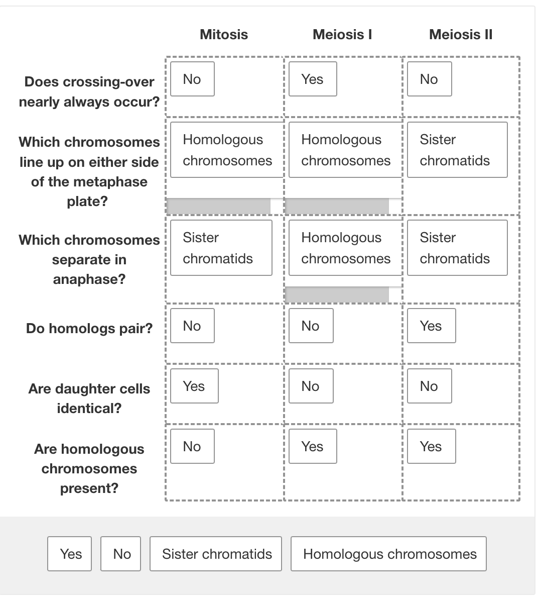 Solved Mitosis Meiosis I Meiosis IIDoes crossing over nearly | Chegg.com