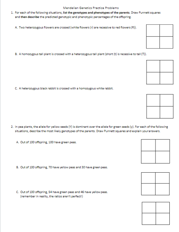 Solved Draw a Punnett square for the following cross: a Draw | Chegg.com