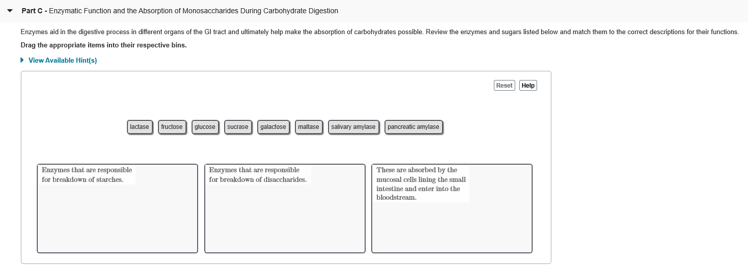 Solved Focus Figure 4 8 Carbohydrate Digestion Overview 4 Chegg Com