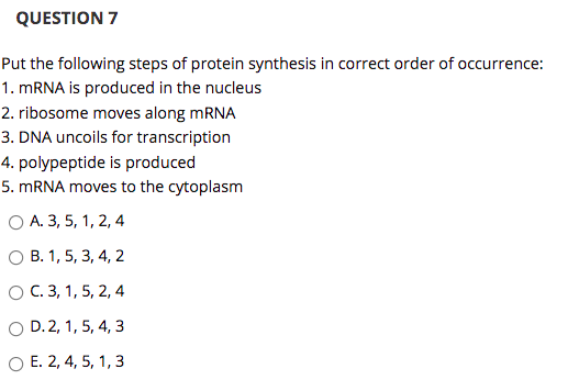 Solved QUESTION 7 Put the following steps of protein | Chegg.com