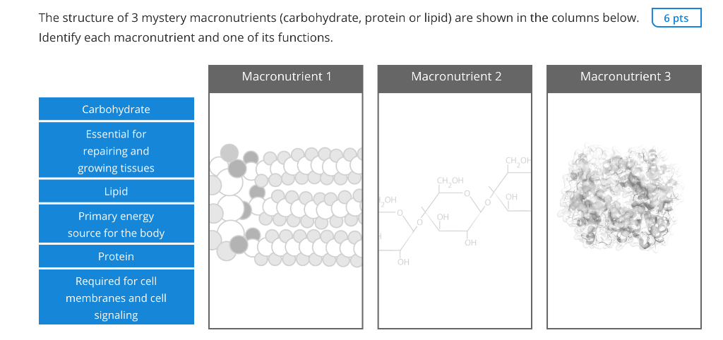 Solved The structure of 3 mystery macronutrients | Chegg.com