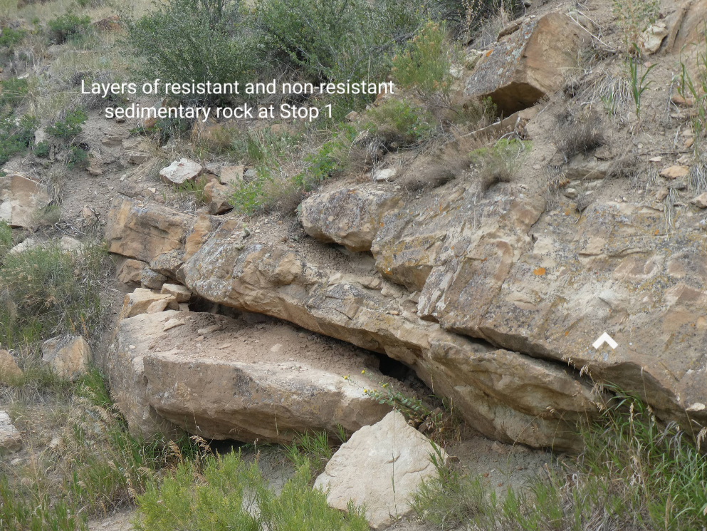 Solved Please walk through the online dinosaur ridge field | Chegg.com