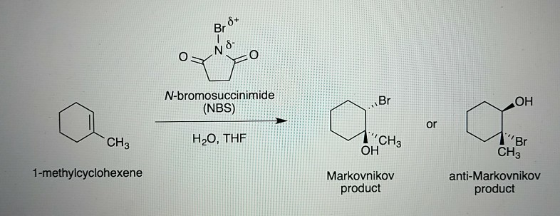 Solved Br N-bromosuccinimide (NBS) ?? H2O, THF CH3 ?? CH3 | Chegg.com