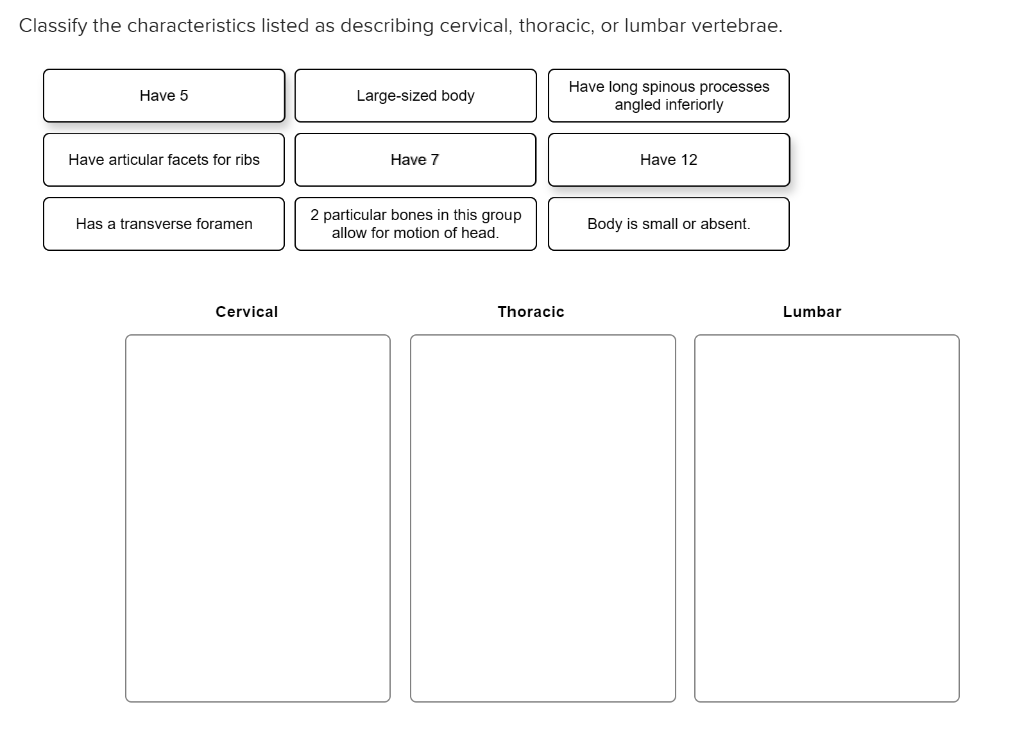 Solved Classify the characteristics listed as describing | Chegg.com