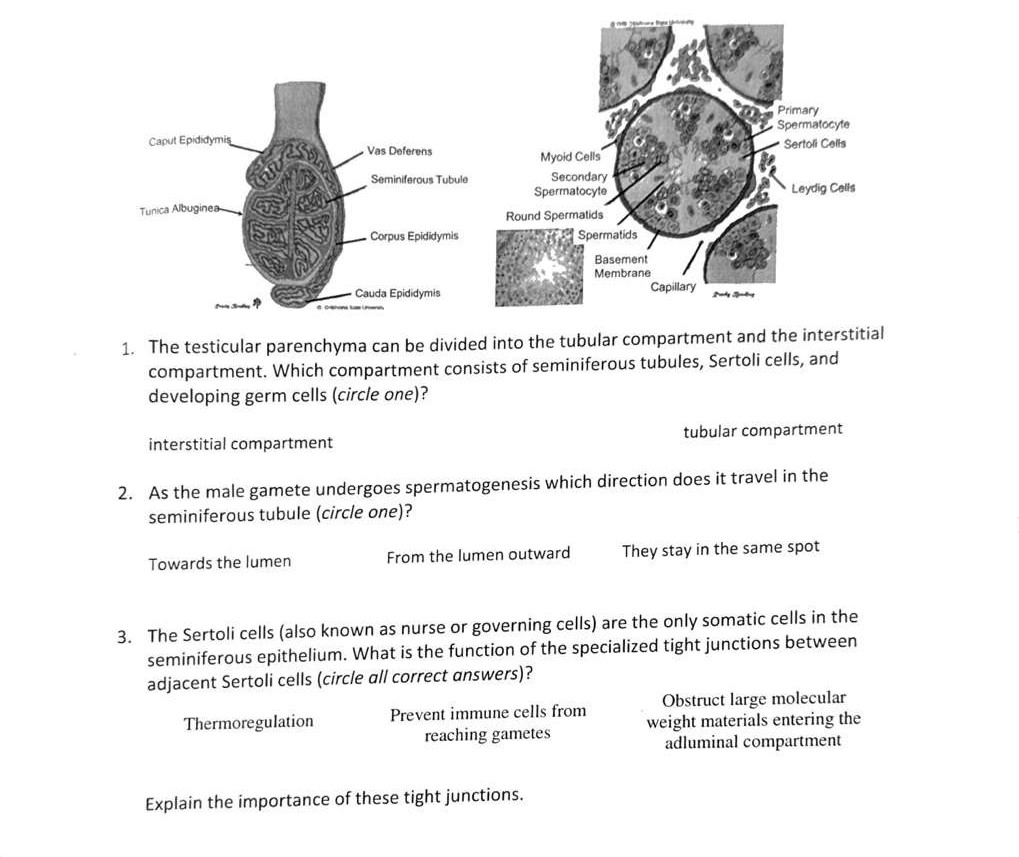 student submitted image, transcription available below