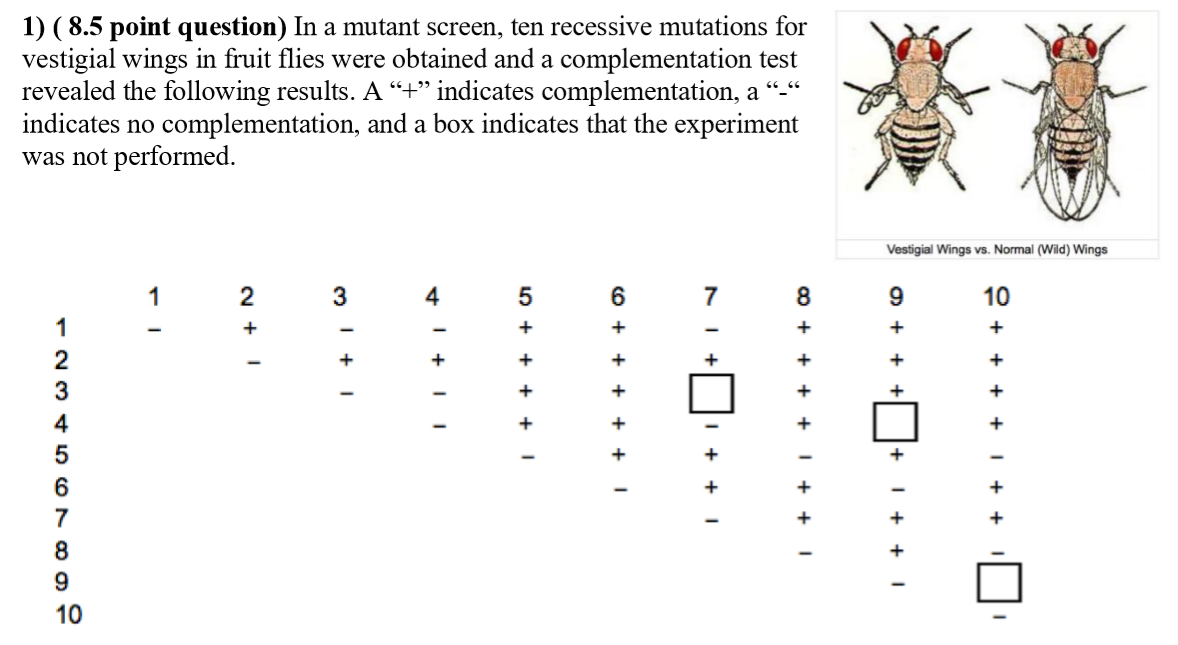 Solved D) A male and female fly are selected from the