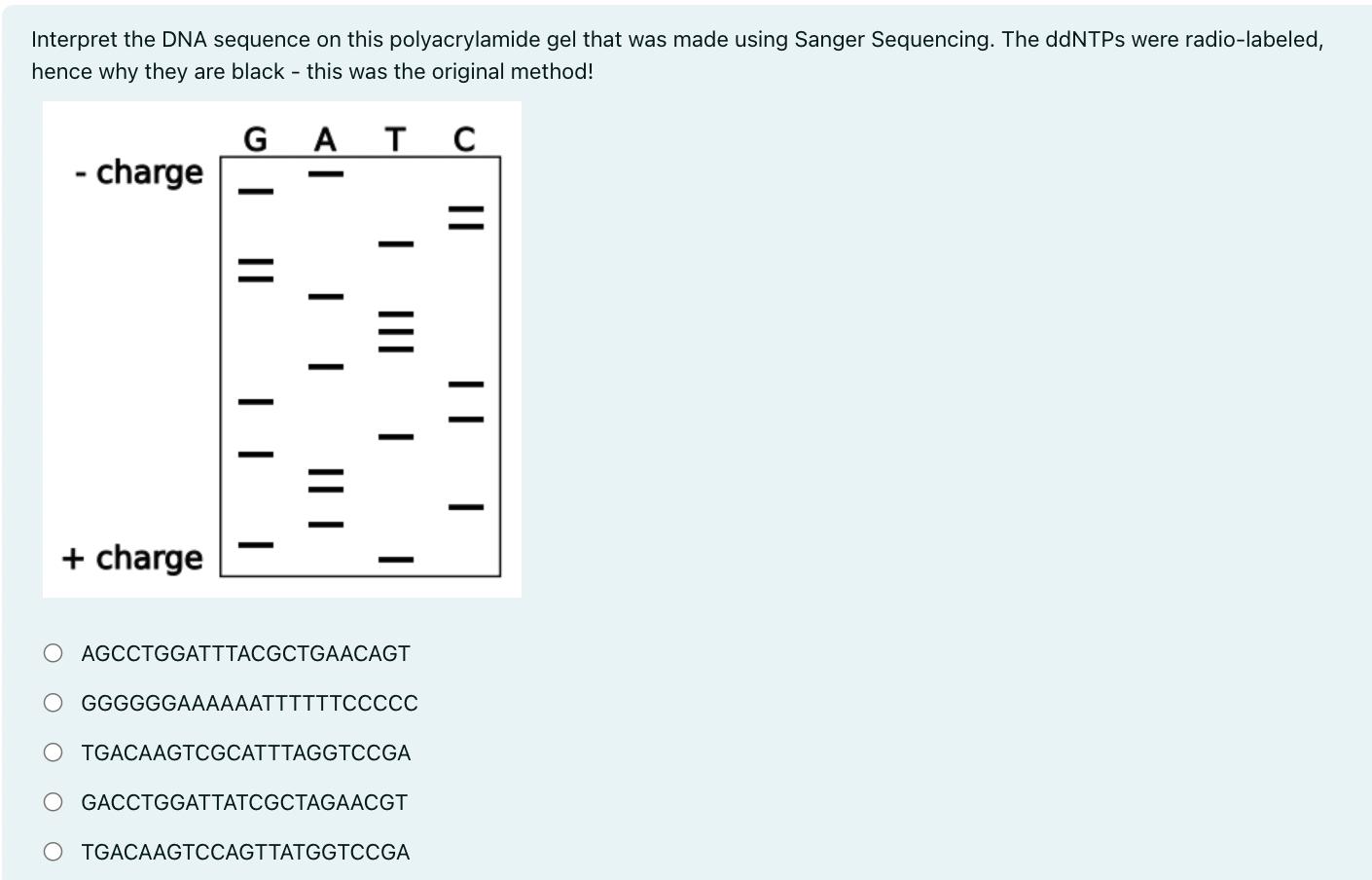 Solved Interpret the DNA sequence on this polyacrylamide gel | Chegg.com