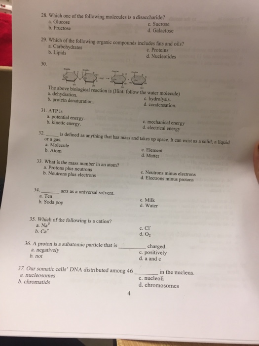 Solved 28. Which one of the following molecules is a | Chegg.com