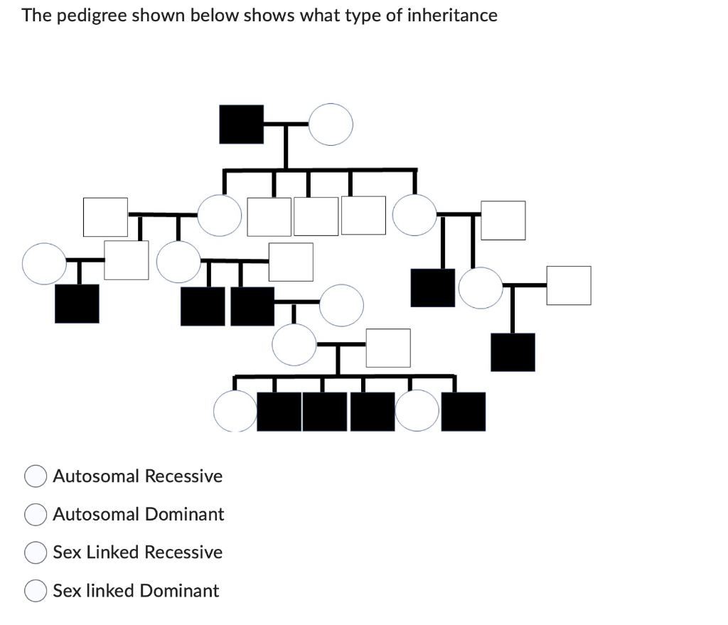 Solved The pedigree shown below shows what type of | Chegg.com
