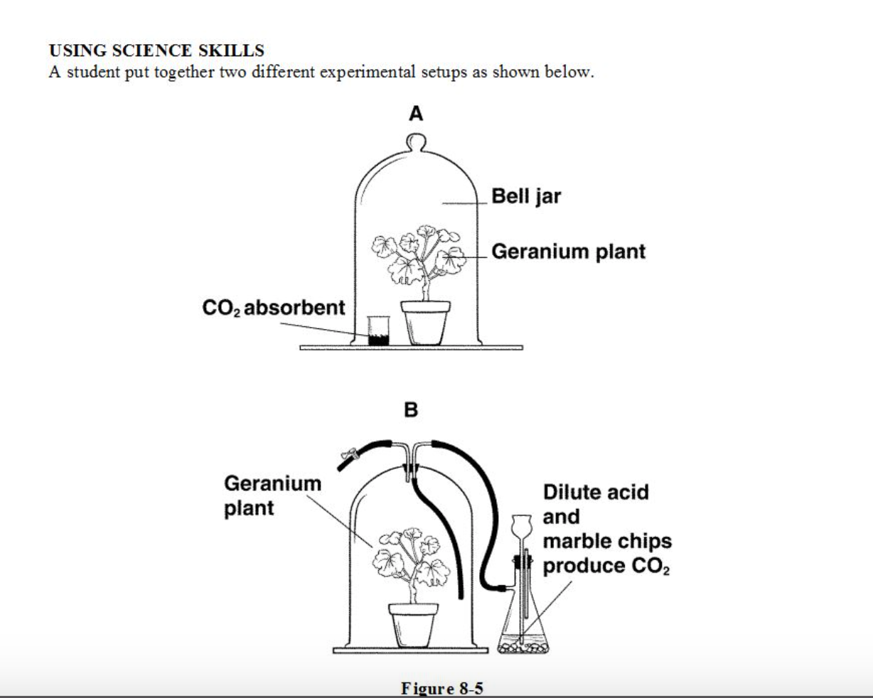 Solved USING SCIENCE SKILLS A student put together two | Chegg.com
