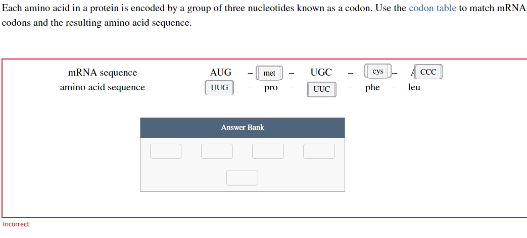 Solved Each amino acid in a protein is encoded by a group of | Chegg.com