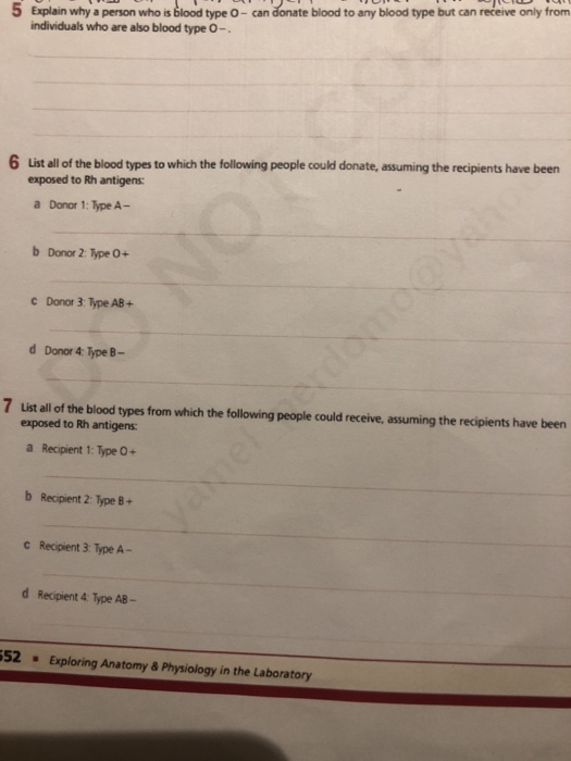 Solved 5 Explain why a person who is blood type O - can | Chegg.com