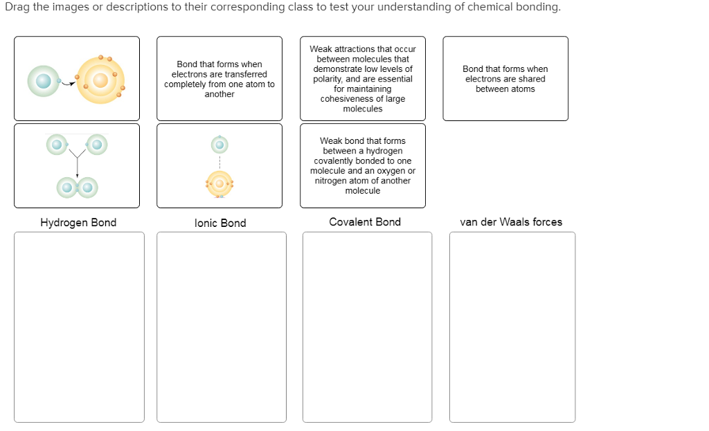 Solved Drag the images or descriptions to their