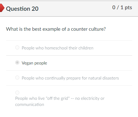 Solved Question 20 0 / 1 pts What is the best example of a | Chegg.com