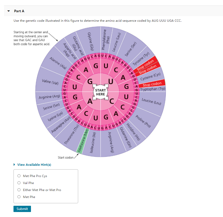 【貴重！！】Loz'a≠Veria（ロズ・ア・ベリア）／genetic code 貴重！！】Loz'a≠Veria（ロズ・ア・ベリア）／genetic code 貴重