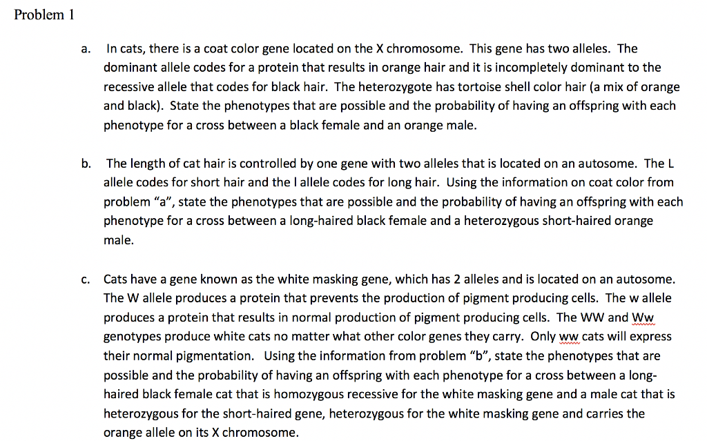 Solved Problem 1 In cats, there is a coat color gene located | Chegg.com