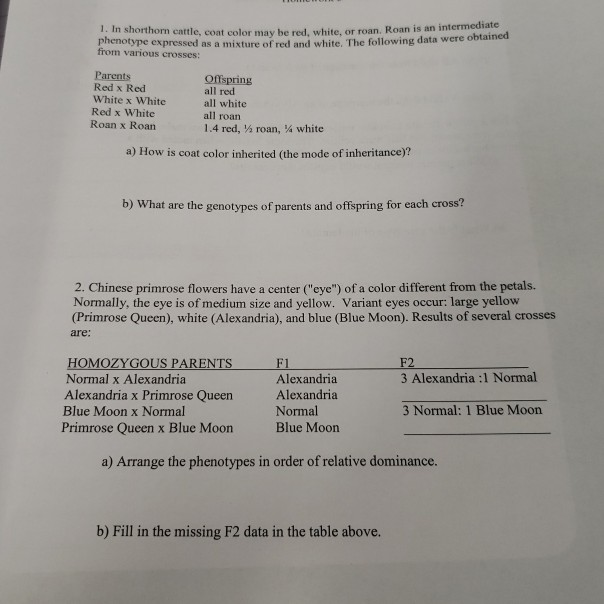 Solved an intermediate 1. In shorthorn cattle, coat color