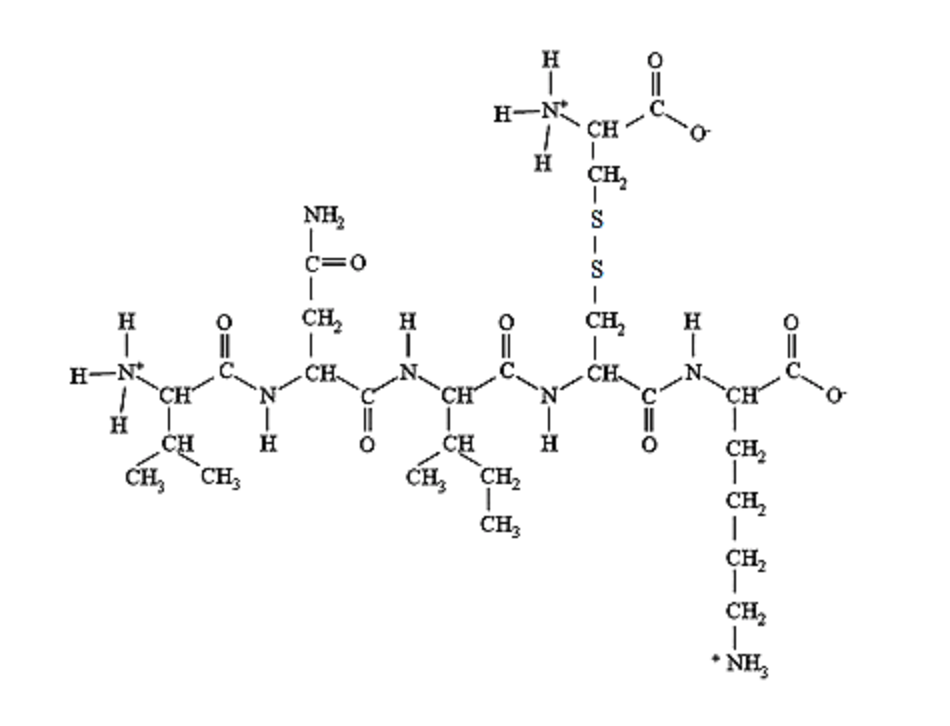 Solved How Many Amino Acid Residues Are In The Structure 