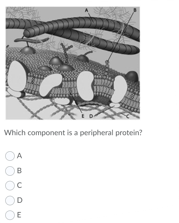 Solved This Chegg question has three parts, 40, 46, 50. For | Chegg.com