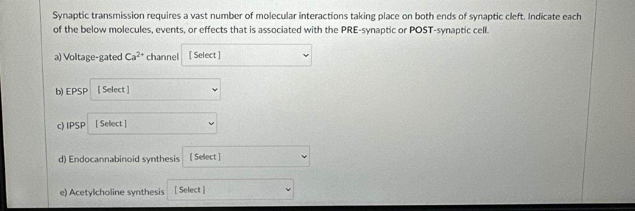 Synaptic transmission requires a vast number of molecular interactions taking place on both ends of synaptic cleft. Indicate 