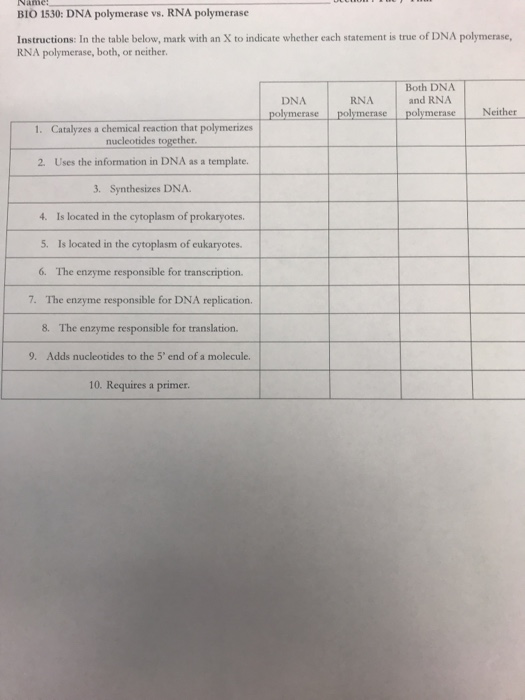 Solved BIO 1530: DNA Polymerase Vs. RNA Polymerase | Chegg.com