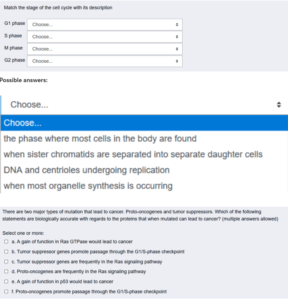 Solved Match the stage of the cell cycle with its | Chegg.com