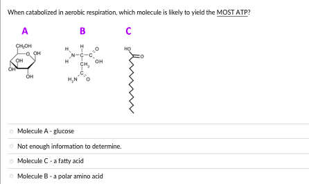 Solved Question 14 Below Is The Structure Of A Peptide. | Chegg.com