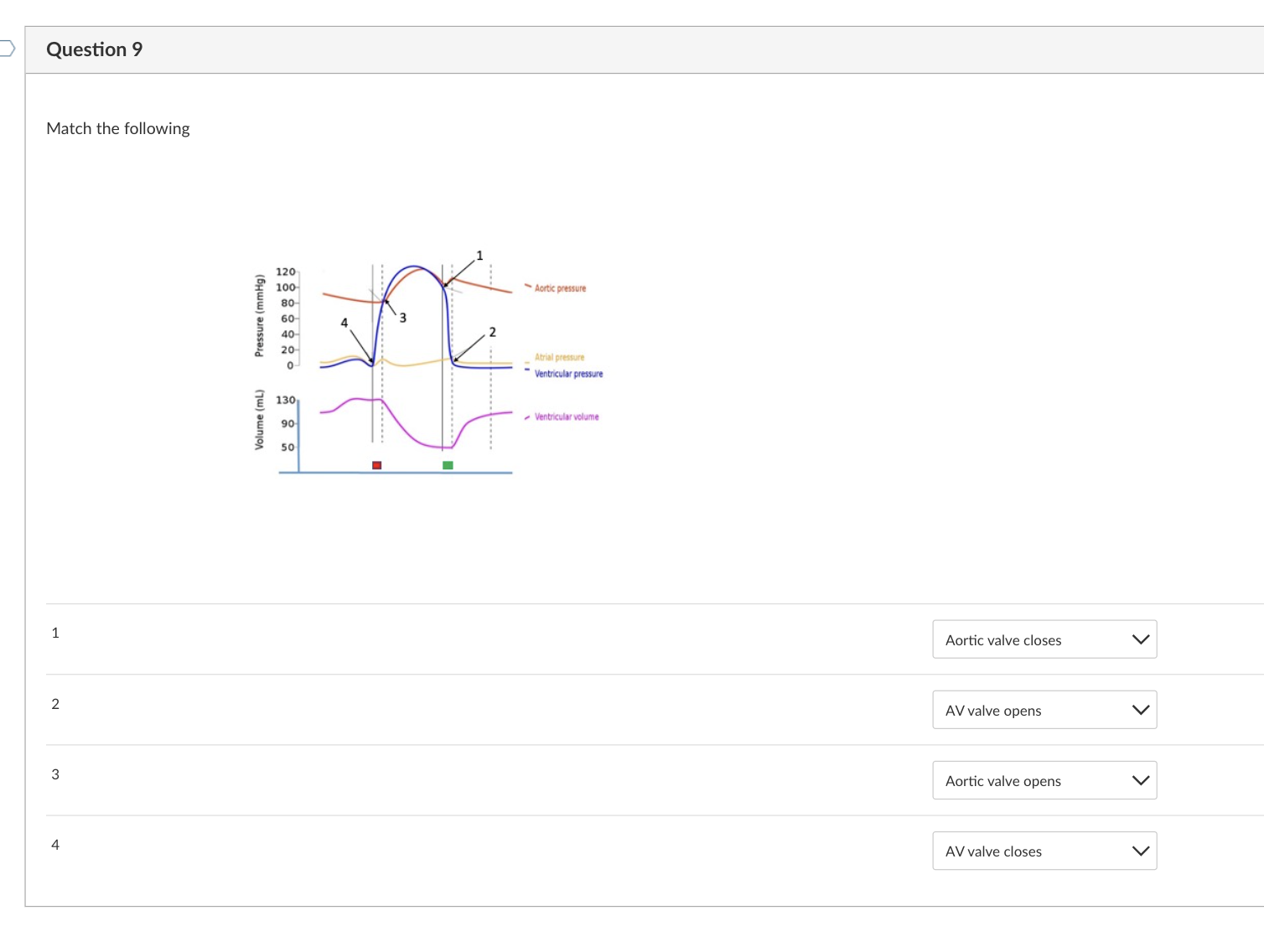Solved Match the following | Chegg.com