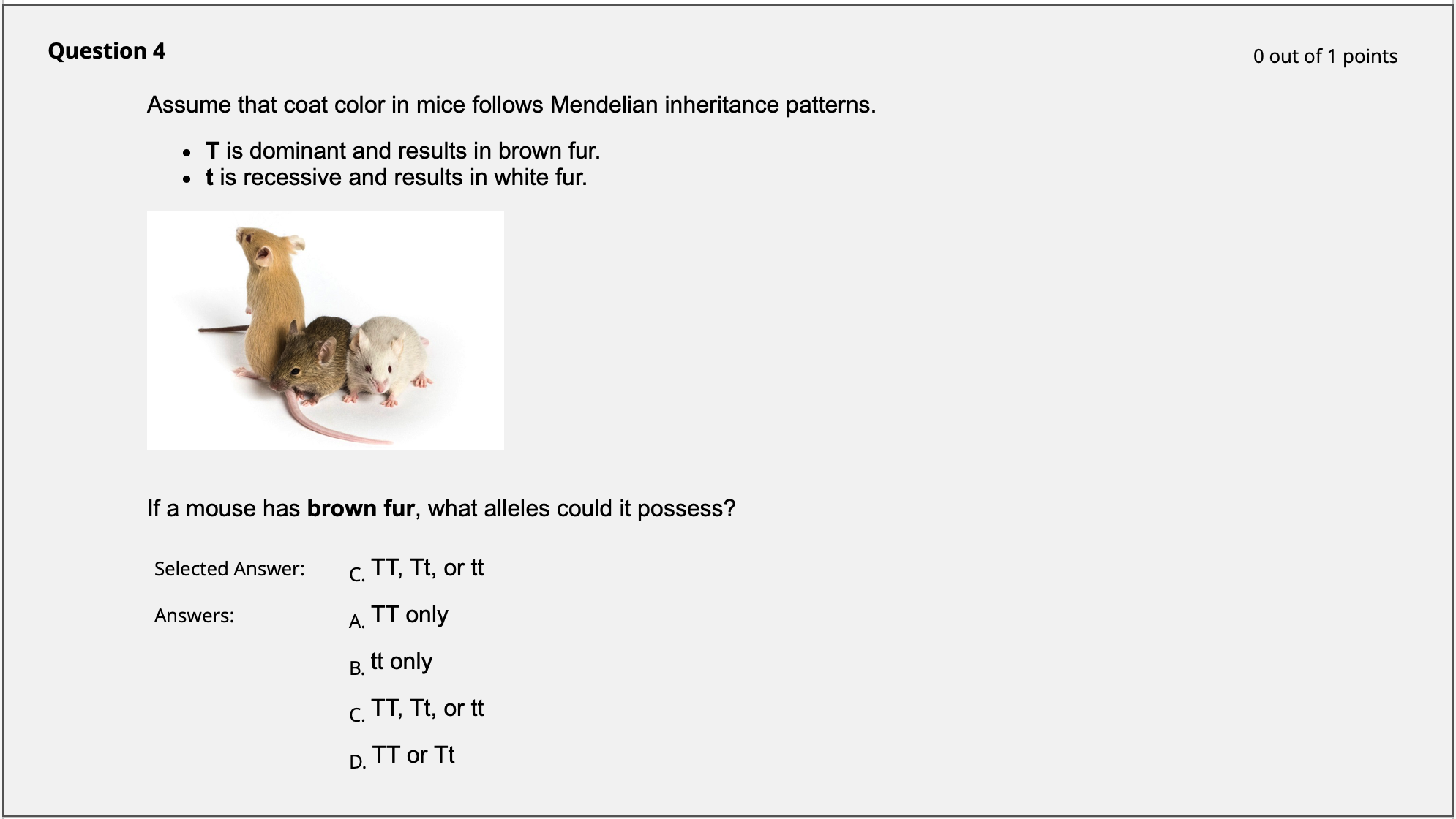 Solved N 4 0 Out Of 1 Points Assume That Coat Color In Mice | Chegg.com