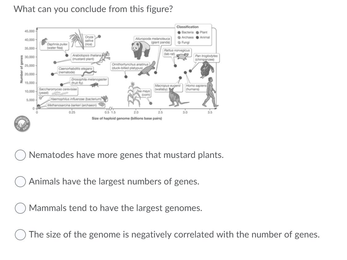 Solved What Can You Conclude From This Figure Chegg