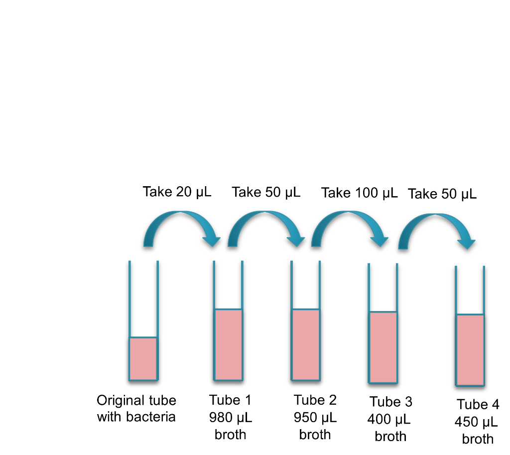 Solved Find the dilution for each tube as well as the