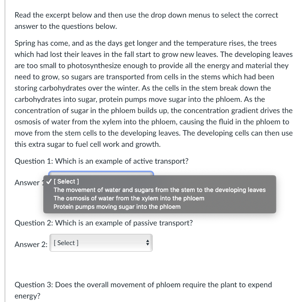 Read The Excerpt Below And Answer The Question