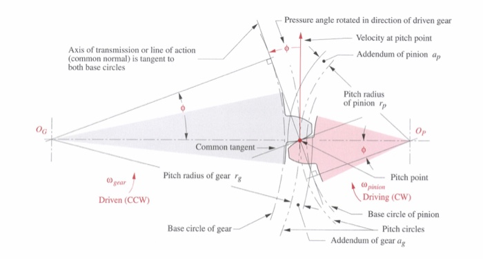 Solved Pressure angle rotated in direction of driven gear | Chegg.com