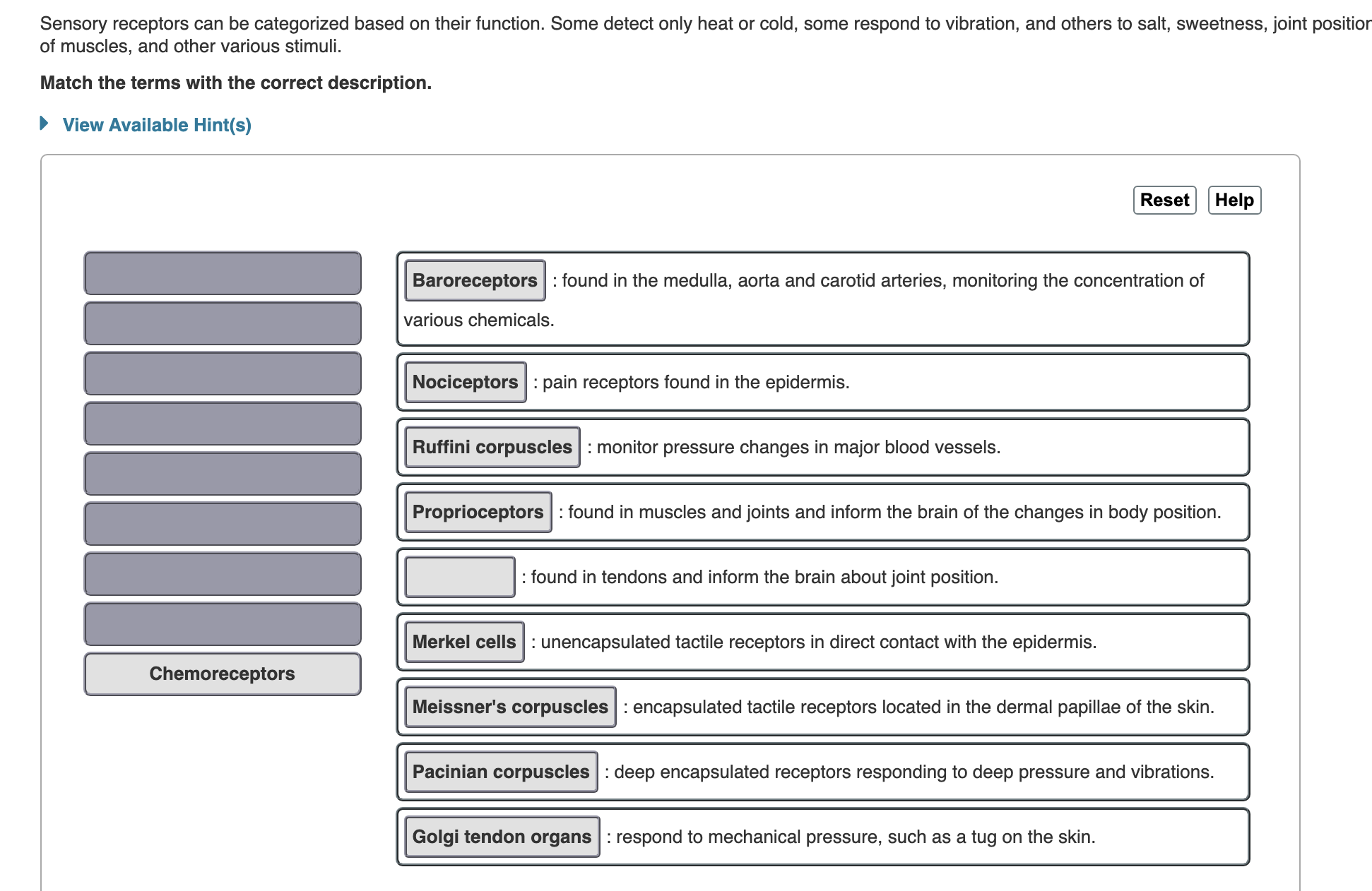 Solved Sensory receptors can be categorized based on their | Chegg.com