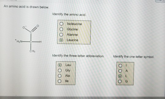 Solved An amino acid is drawn below. Identify the amino | Chegg.com