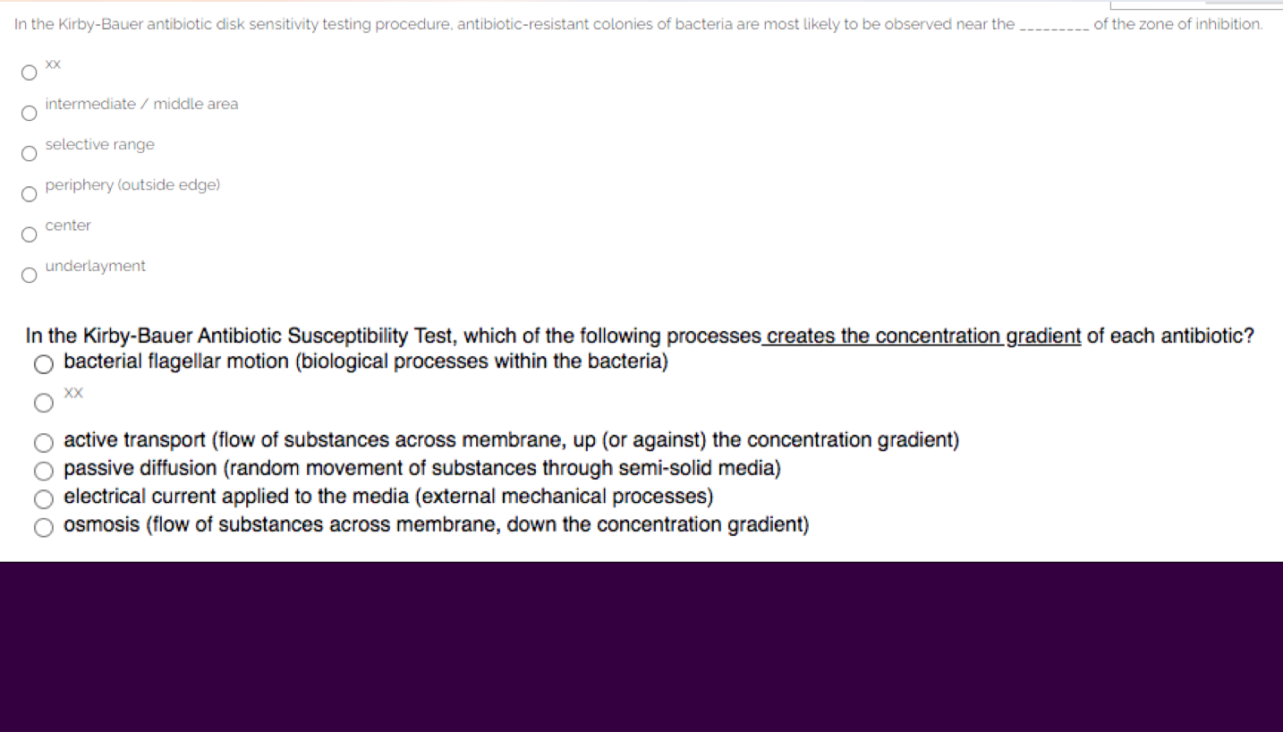 Solved In the Kirby-Bauer antibiotic disk sensitivity | Chegg.com