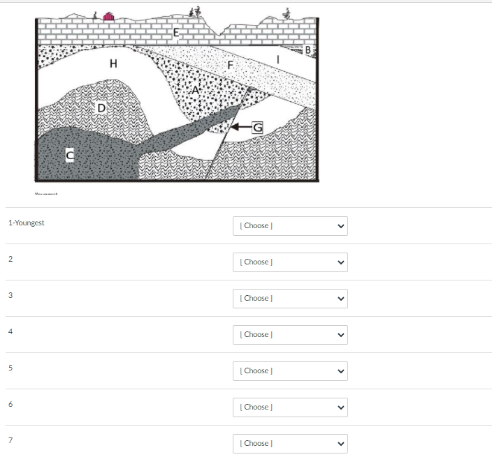 Solved D CE Using the geologic cross section above, put the | Chegg.com