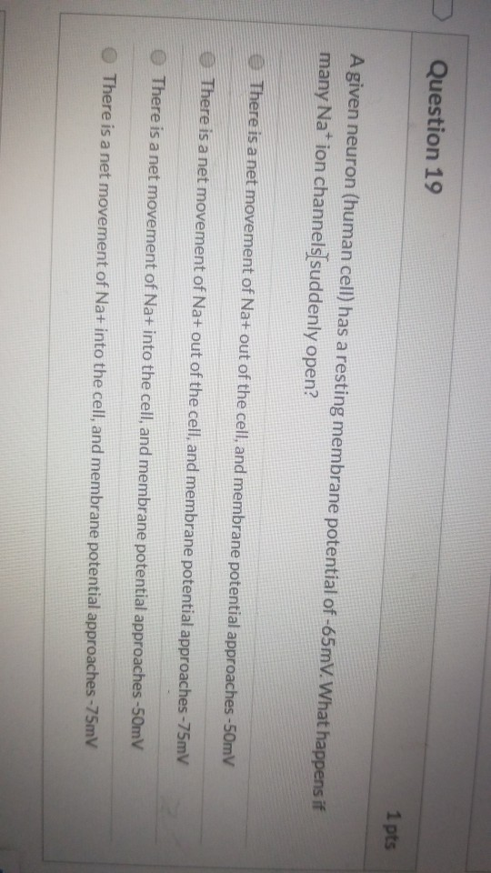Solved Question 19 1 pts A given neuron (human cell) has a | Chegg.com