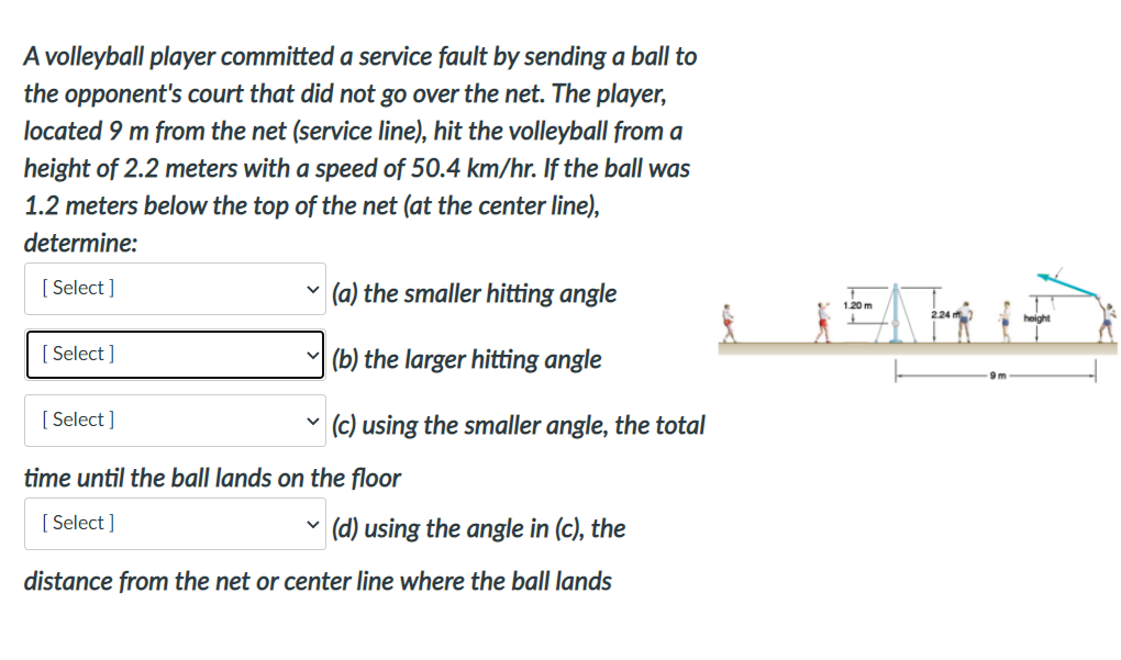 solved-a-volleyball-player-committed-a-service-fault-by-chegg