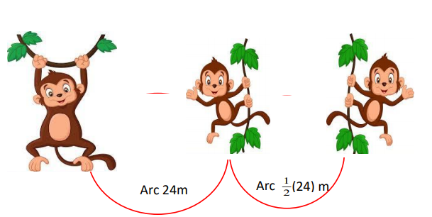 Solved A monkey is swinging from a tree. On the first swing, | Chegg.com