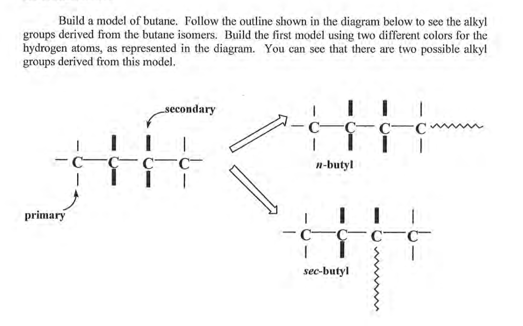 Build A Model Of Butane. Follow The Outline Shown In | Chegg.com