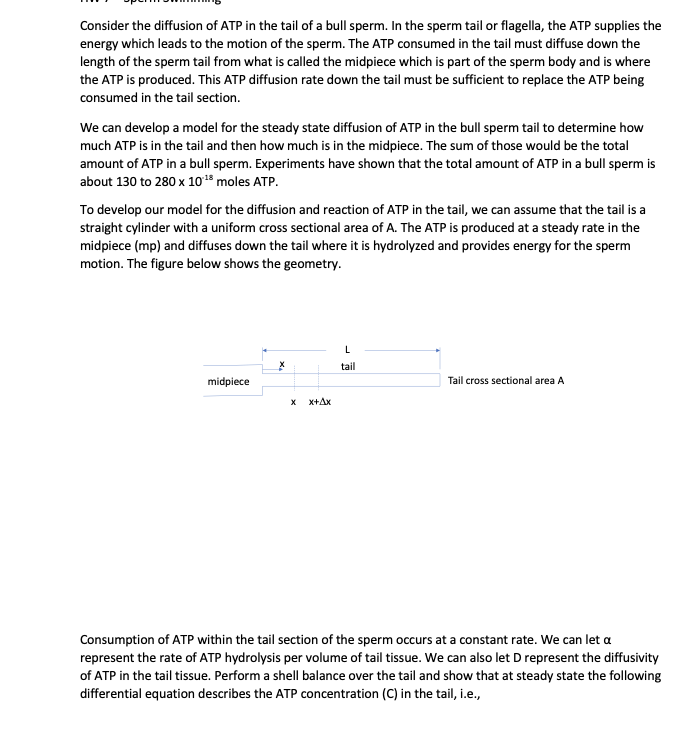Consider the diffusion of ATP in the tail of a bull sperm. In the sperm tail or flagella, the ATP supplies the energy which l