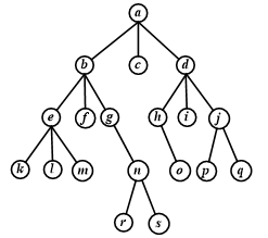 Solved Question 8: In which order are the vertices of given | Chegg.com