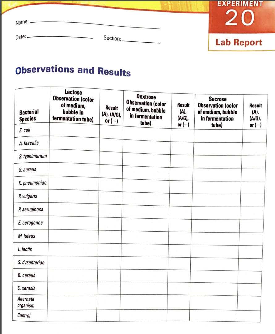 Name:
Date:
Section:.
Observations and Results
Lactose
Observation (color
of medium,
bubble in
fermentation tube)
Result
Bact