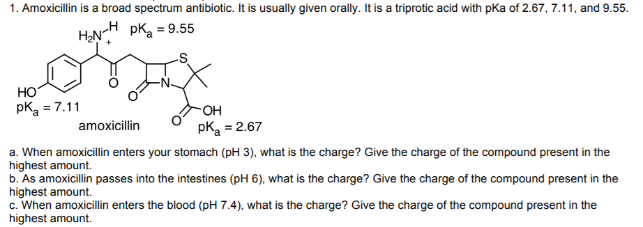 Solved 1. Amoxicillin Is A Broad Spectrum Antibiotic. It Is | Chegg.com